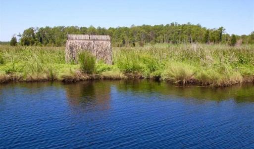 Photo of SOLD!!  547 Acres of Waterfront Hunting Land For Sale in Beaufort County NC!
