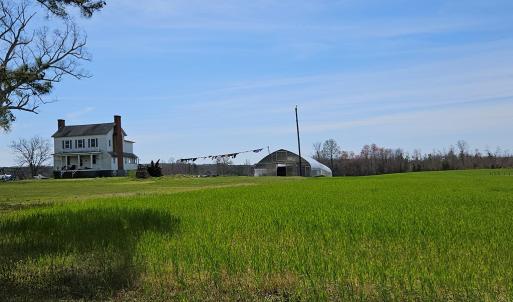 Photo #20 of 175 Raines Tavern, Farmville, VA 87.0 acres
