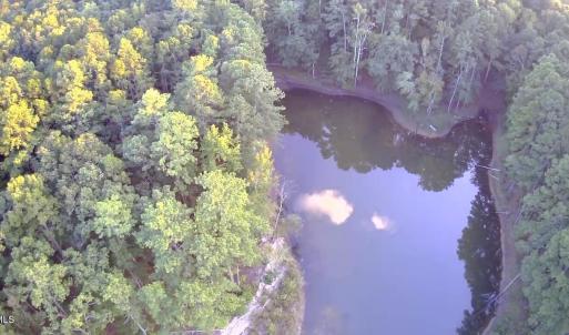 Pond off of the lake