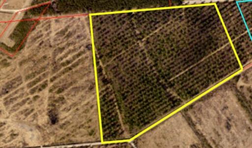 46 Acres Savoy Dr