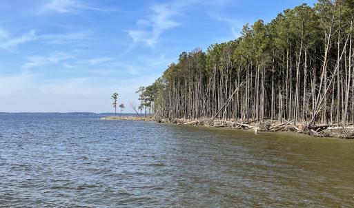 Water Frontage Pungo