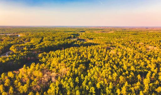 DJI_0781-HDR-Pano