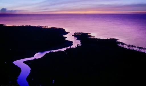 _Gum Thicket and Neuse River (2)