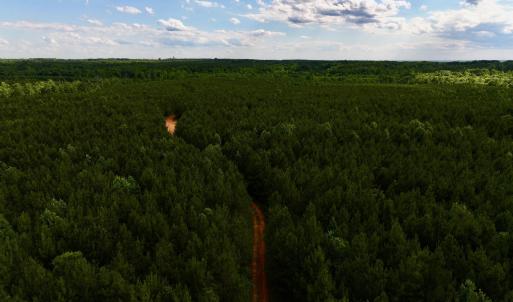 DJI_20240529162838_0471_D