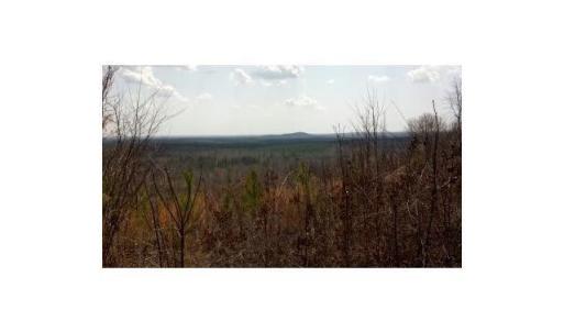 Photo #1 of LUCAS, Troy, NC 186.0 acres