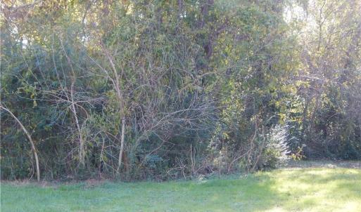 Photo #2 of 6341 OLD TOWNPOINT Road, Suffolk, Virginia 0.3 acres