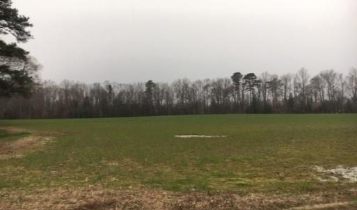 Photo #2 of 40AC Shiloh Drive, Windsor, Virginia 40.0 acres