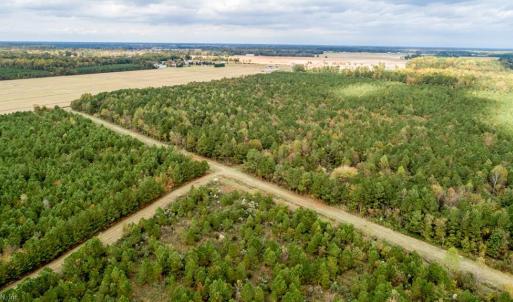 Photo #18 of 773AC Baum Road, Virginia Beach, Virginia 773.0 acres