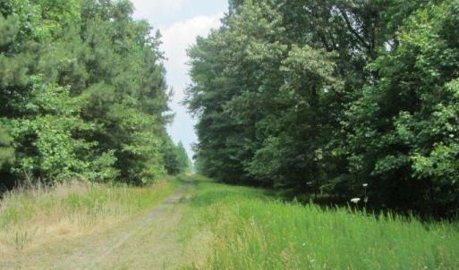 Photo #4 of 52ac Logan Road, Suffolk, Virginia 51.3 acres