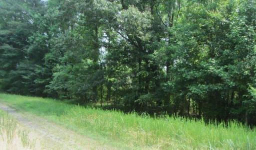 Photo #5 of 52ac Logan Road, Suffolk, Virginia 51.3 acres