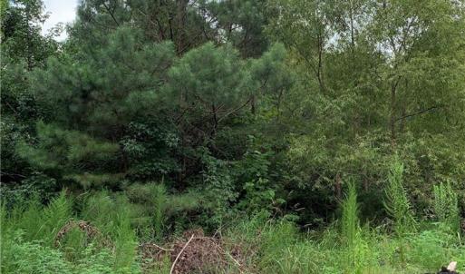Photo #1 of 4.68ac Townpoint Road, Suffolk, Virginia 4.7 acres