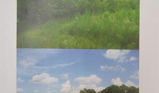 Photo #2 of 3809 Indian River Road, Virginia Beach, Virginia 30.0 acres