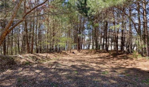 Photo #14 of 4515 News Road, Williamsburg, Virginia 2.4 acres