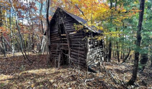 Photo #3 of 1928 Frye, Westfield, NC 77.0 acres