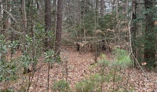 Photo #3 of 420 Yorkville Road, Yorktown, Virginia 15.8 acres