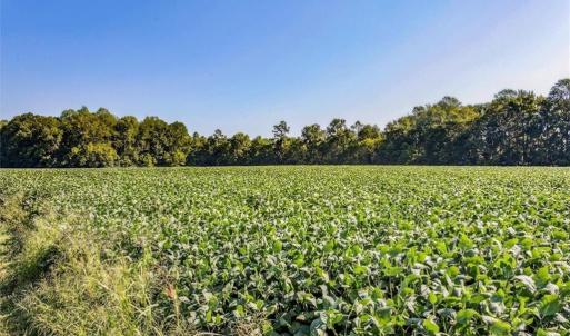 Photo #2 of 25+ac Lewis B. Puller Memorial Highway, Shacklefords, Virginia 25.8 acres