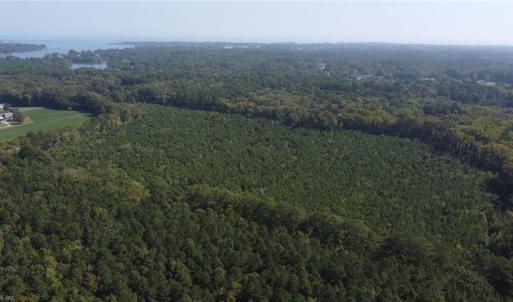 Photo #6 of 33+ac Pine Hall Road, Mathews, Virginia 33.2 acres