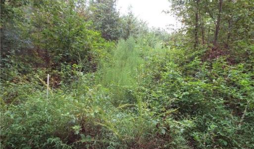 Photo #1 of Lot 25 Chambliss Road, Emporia, Virginia