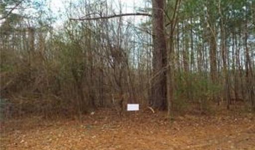 Photo #1 of Lot 26 Chambliss Road, Emporia, Virginia