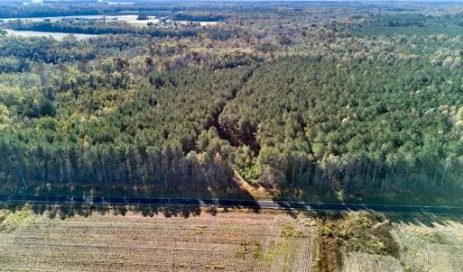 Photo #5 of 50 AC MINERAL SPRING Road, Suffolk, Virginia 50.3 acres