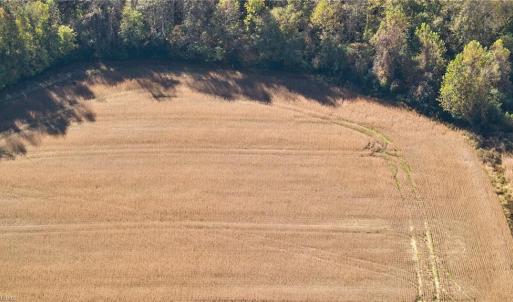 Photo #8 of 50 AC MINERAL SPRING Road, Suffolk, Virginia 50.3 acres