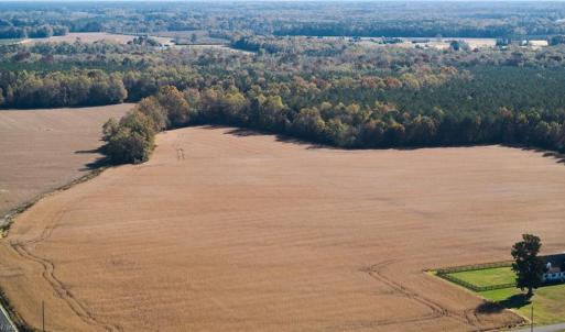 Photo #9 of 69 AC MINERAL SPRING Road, Suffolk, Virginia 69.5 acres