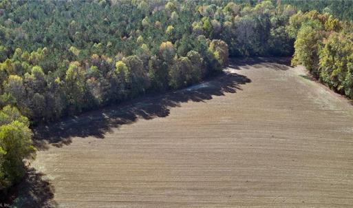 Photo #6 of 60 ac MINERAL SPRING Road, Suffolk, Virginia 60.9 acres