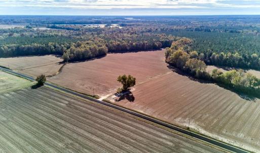 Photo #8 of 60 ac MINERAL SPRING Road, Suffolk, Virginia 60.9 acres