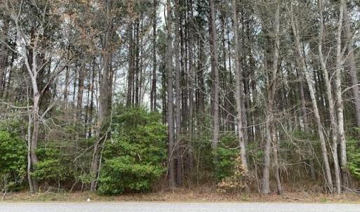 Photo #1 of 2.12ac Gilliam Road, Yale, Virginia 2.1 acres