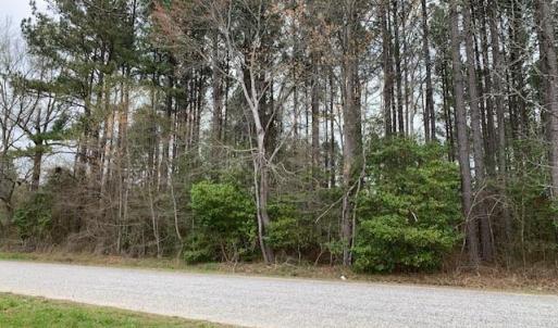 Photo #3 of 2.12ac Gilliam Road, Yale, Virginia 2.1 acres