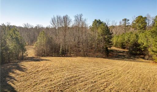 View of some of the trails that cover the property.