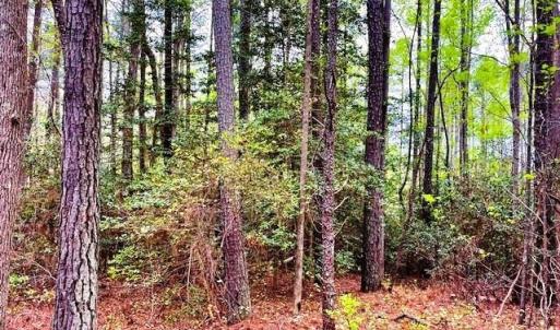 Photo #2 of 11 Meadowview (Lot 12) Lane, Lancaster, Virginia 0.9 acres