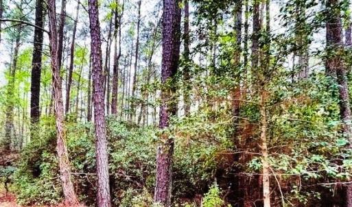 Photo #4 of 11 Meadowview (Lot 12) Lane, Lancaster, Virginia 0.9 acres