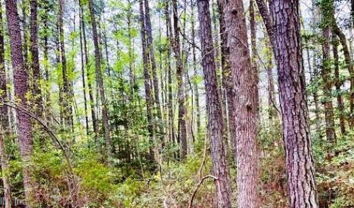 Photo #10 of 11 Meadowview (Lot 12) Lane, Lancaster, Virginia 0.9 acres