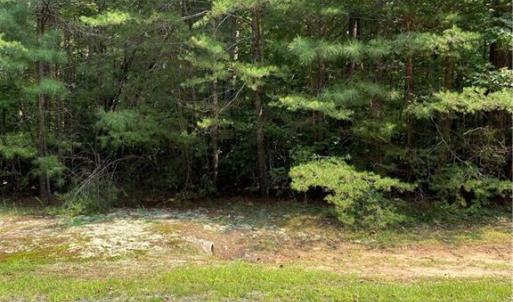 Photo #4 of Rock Fish Road, Heathsville, Virginia 3.3 acres