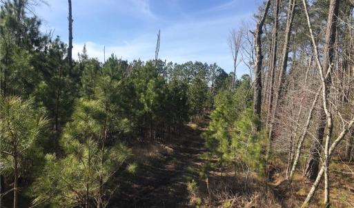 Photo #12 of 52+ac Indian Trail, Suffolk, Virginia 52.2 acres