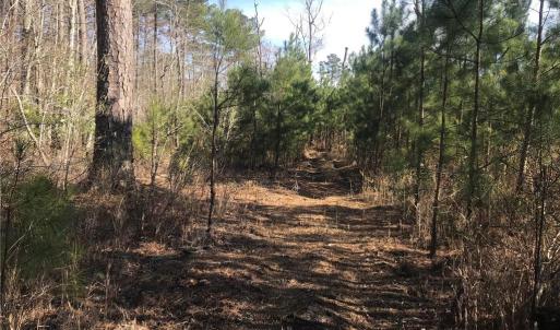 Photo #17 of 52+ac Indian Trail, Suffolk, Virginia 52.2 acres