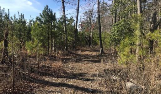 Photo #21 of 52+ac Indian Trail, Suffolk, Virginia 52.2 acres