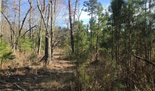 Photo #23 of 52+ac Indian Trail, Suffolk, Virginia 52.2 acres