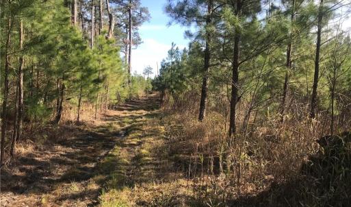 Photo #24 of 52+ac Indian Trail, Suffolk, Virginia 52.2 acres
