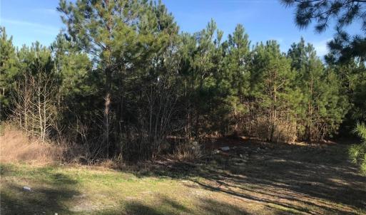 Photo #4 of 52+ac Indian Trail, Suffolk, Virginia 52.2 acres