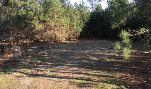 Photo #6 of 52+ac Indian Trail, Suffolk, Virginia 52.2 acres