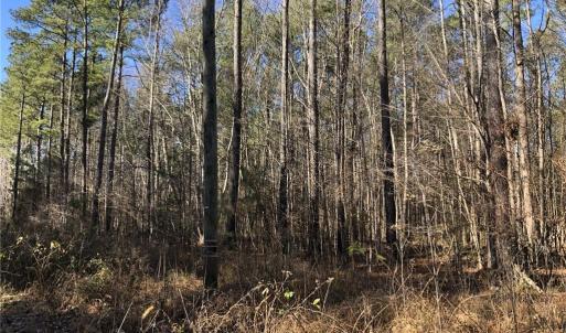 Photo #15 of Lot 14 Field Trial Road, Lancaster, Virginia 5.2 acres