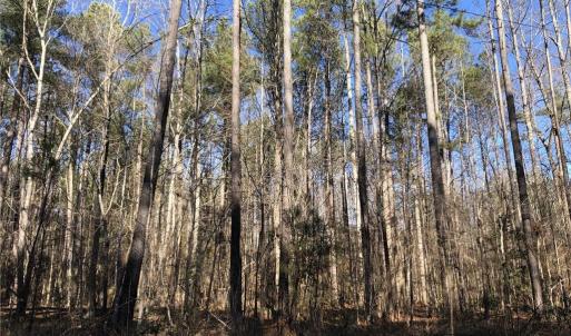 Photo #16 of Lot 14 Field Trial Road, Lancaster, Virginia 5.2 acres