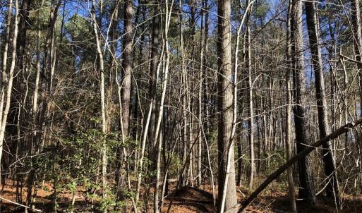 Photo #12 of Lot 12 Field Trial Road, Lancaster, Virginia 5.4 acres