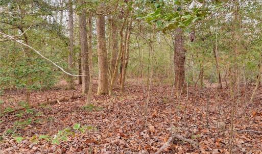 Photo #13 of Lot B Lonesome Pine Trail, Lancaster, Virginia 1.1 acres