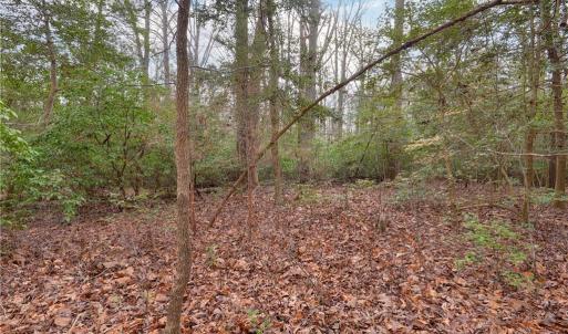 Photo #14 of Lot B Lonesome Pine Trail, Lancaster, Virginia 1.1 acres