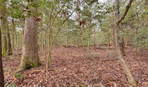 Photo #18 of Lot B Lonesome Pine Trail, Lancaster, Virginia 1.1 acres