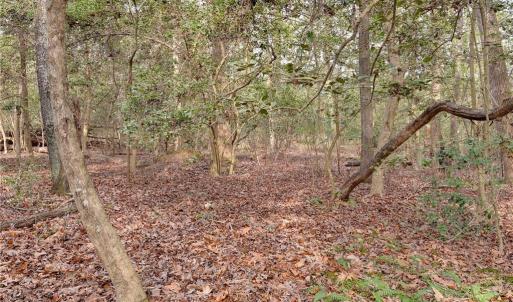 Photo #19 of Lot B Lonesome Pine Trail, Lancaster, Virginia 1.1 acres