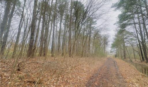 Photo #34 of 19 Holland Road, Virginia Beach, Virginia 20.0 acres